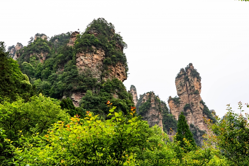 zhang-20190602-86