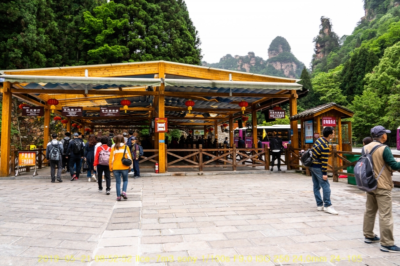 zhang-20190602-89