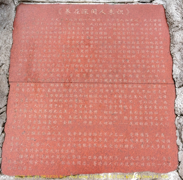 zhang-20190603-01