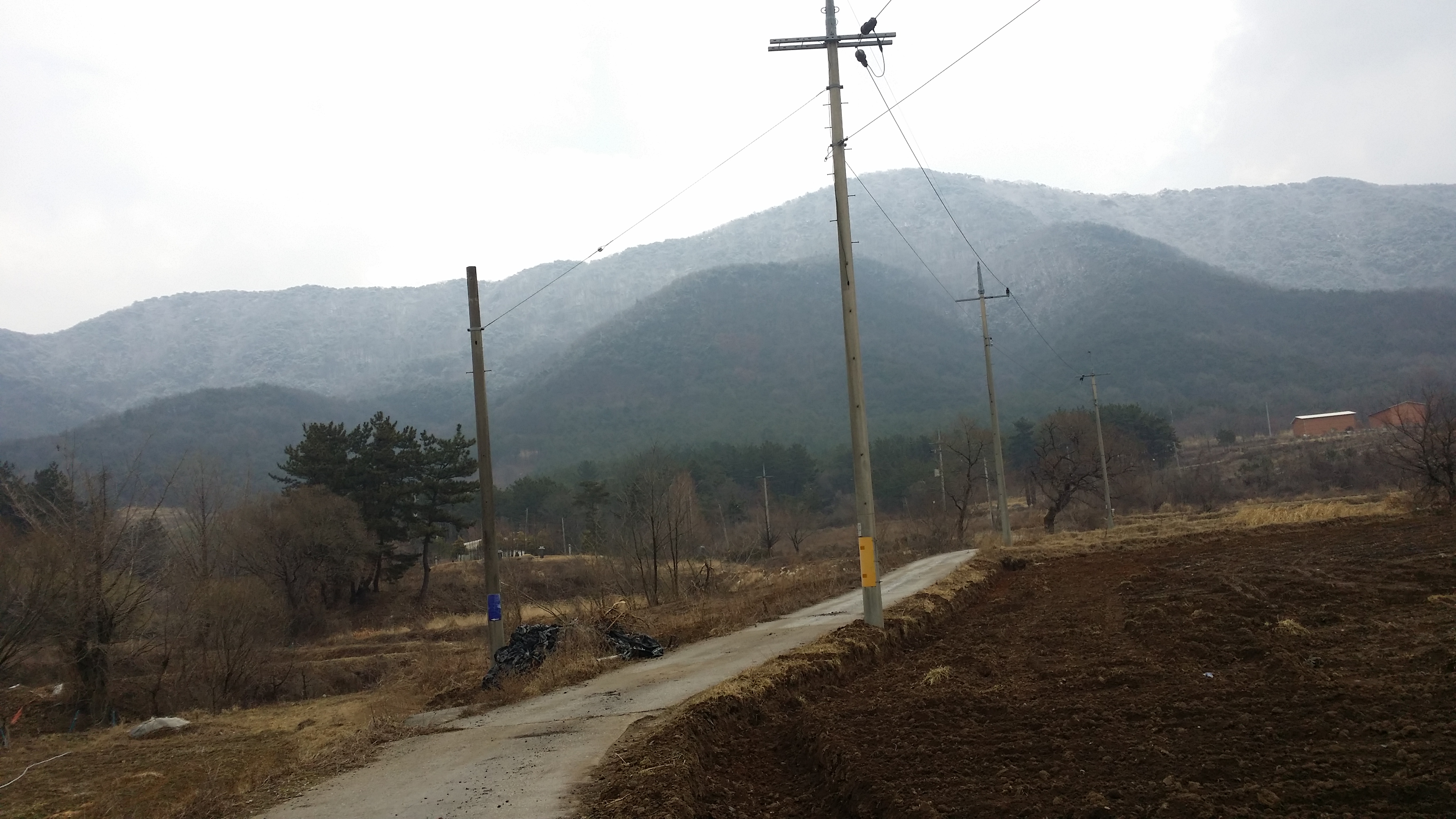 2015-03-01 눈쌓임