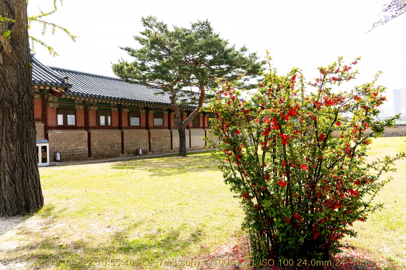 gyeng-20190427-69