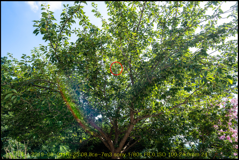 20190801_170757