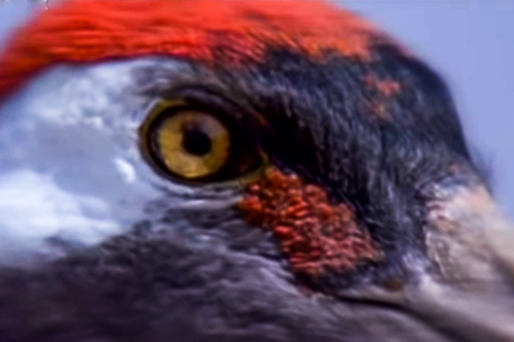 20191214-20191214_133847