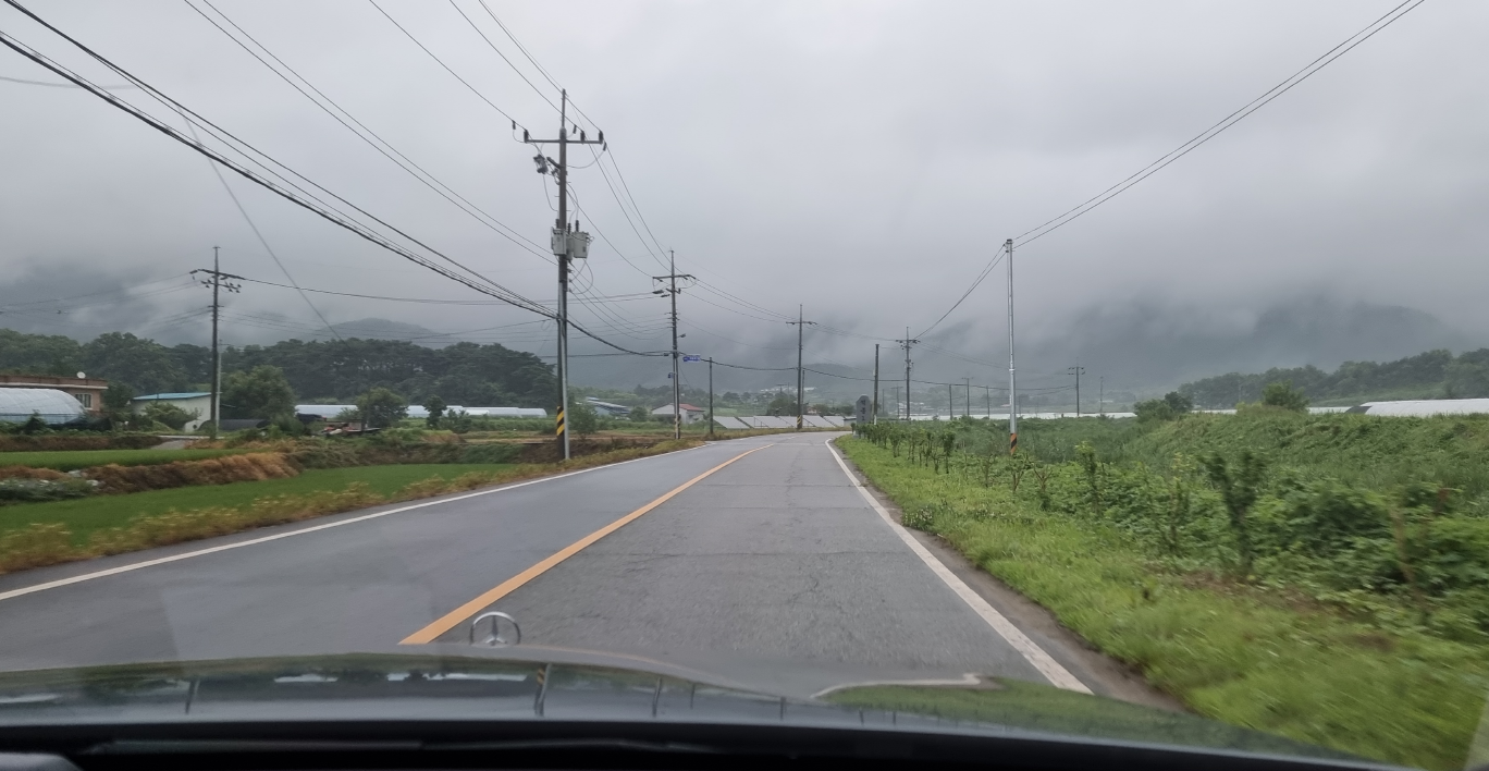 진주 한 알