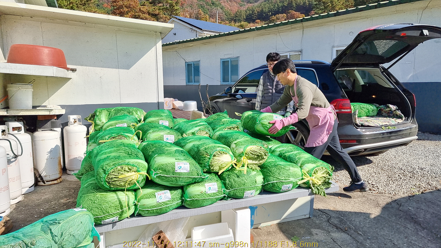 연례행사 김장철