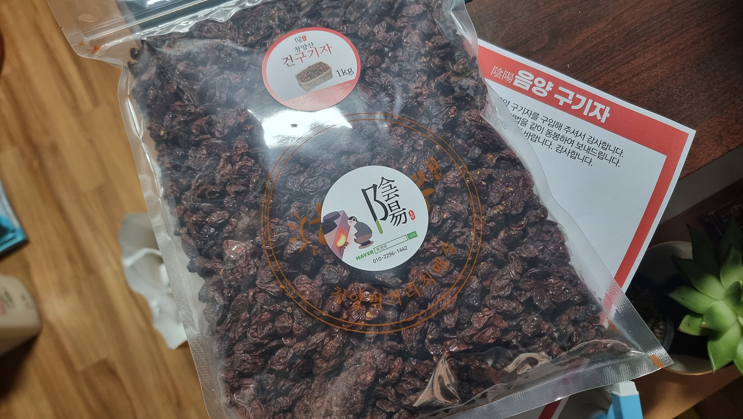구기자랑 놀기