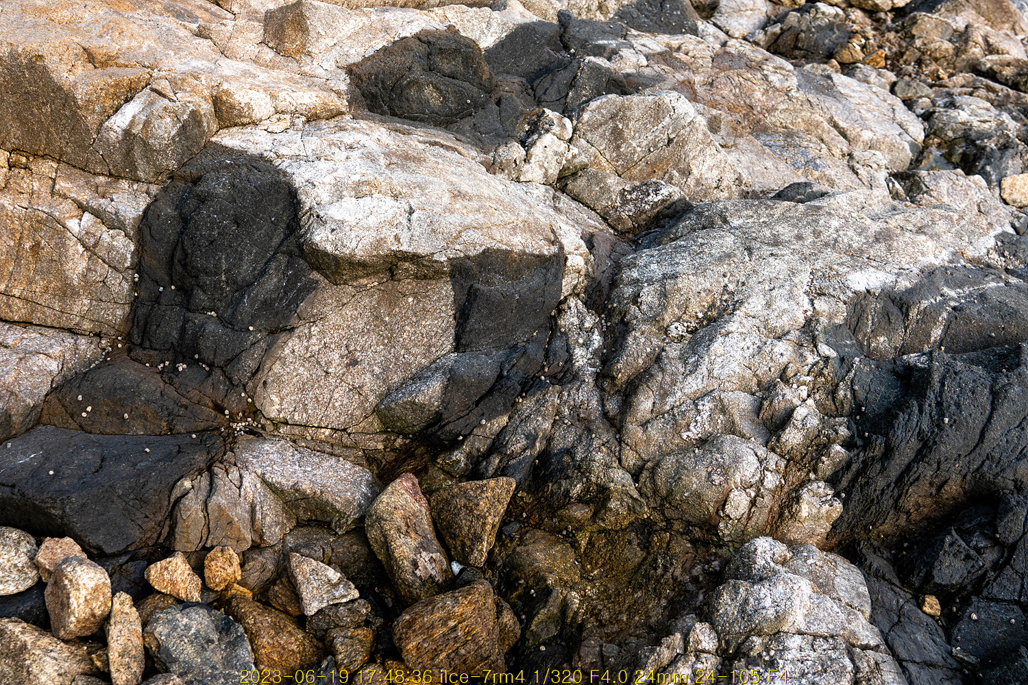 20230707_110729_64a7d5d15614c.jpg