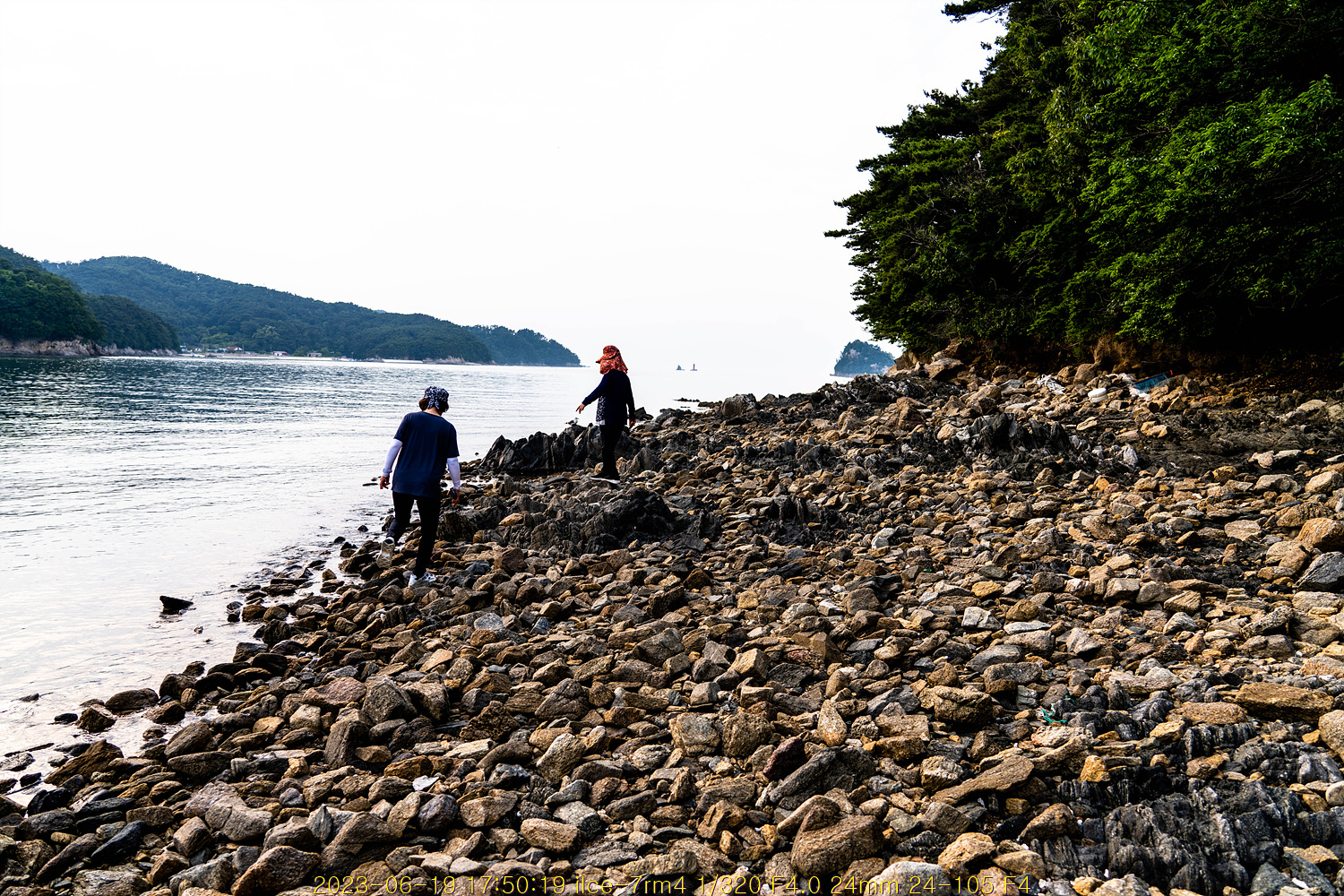 20230707_110743_64a7d5df0a19b.jpg