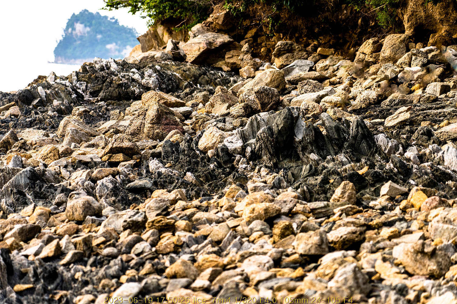 20230707_130810_64a7f21abc2d5.jpg