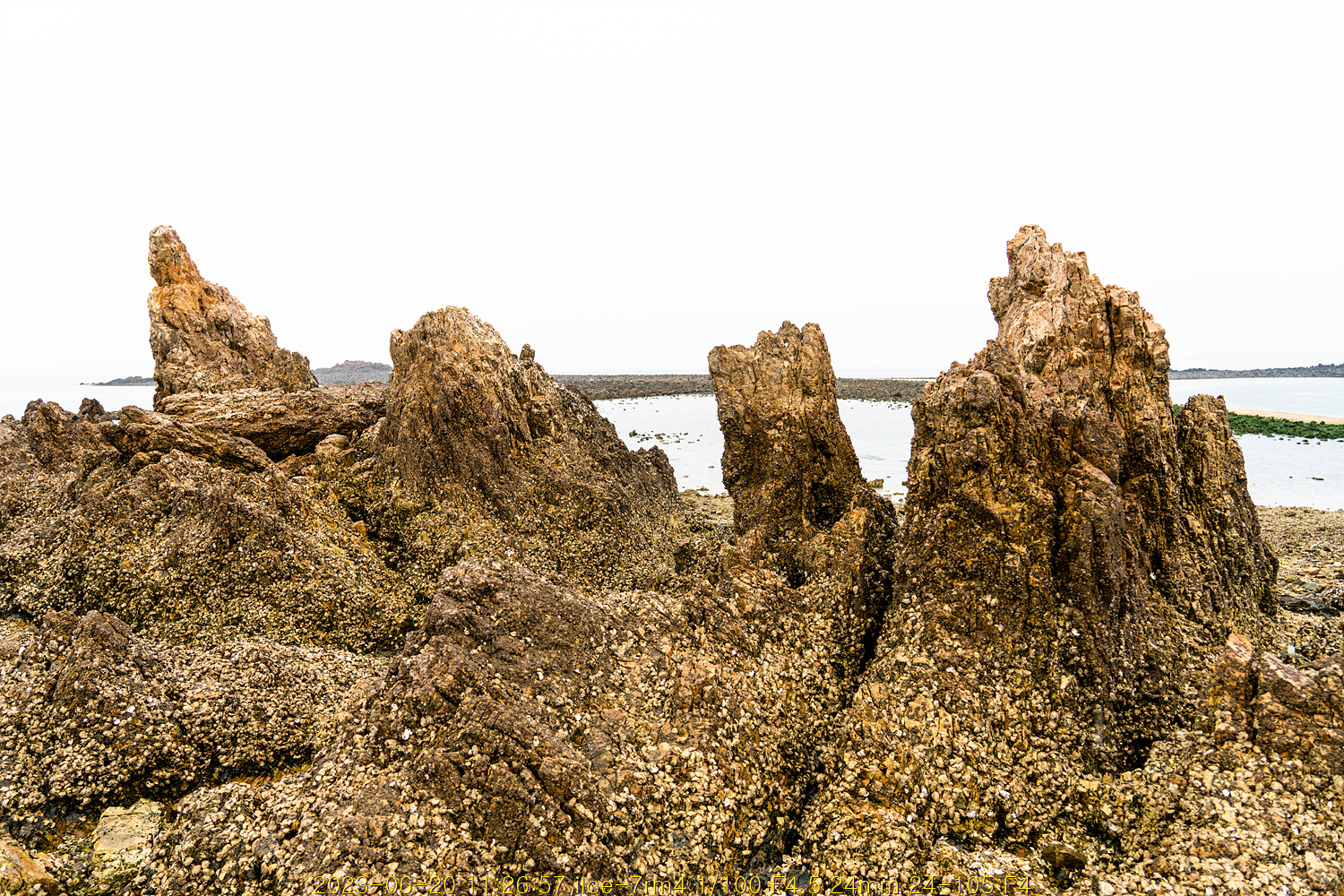 20230707_140240_64a7fee04e125.jpg