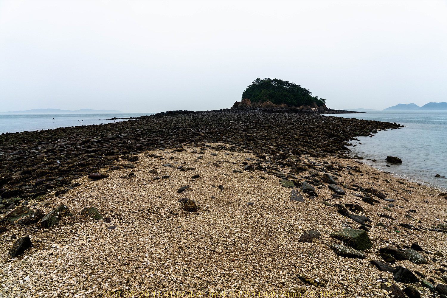 20230707_142059_64a8032b06be7.jpg