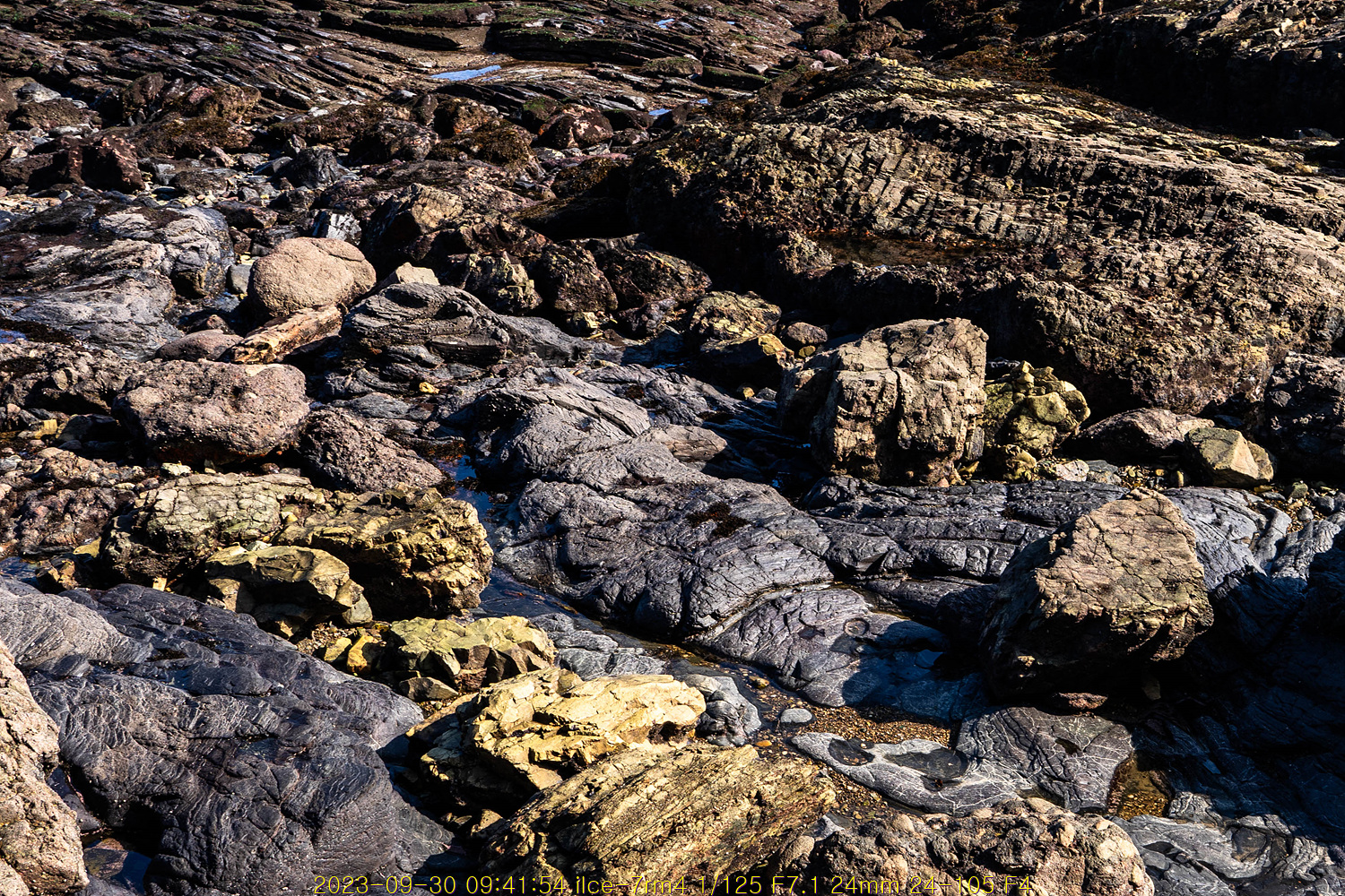 20231005_011257_651df179de8a4.jpg