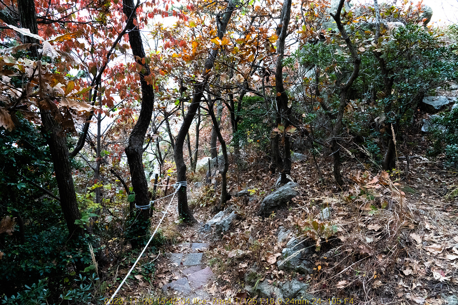 부산지질공원: 두송반도알바