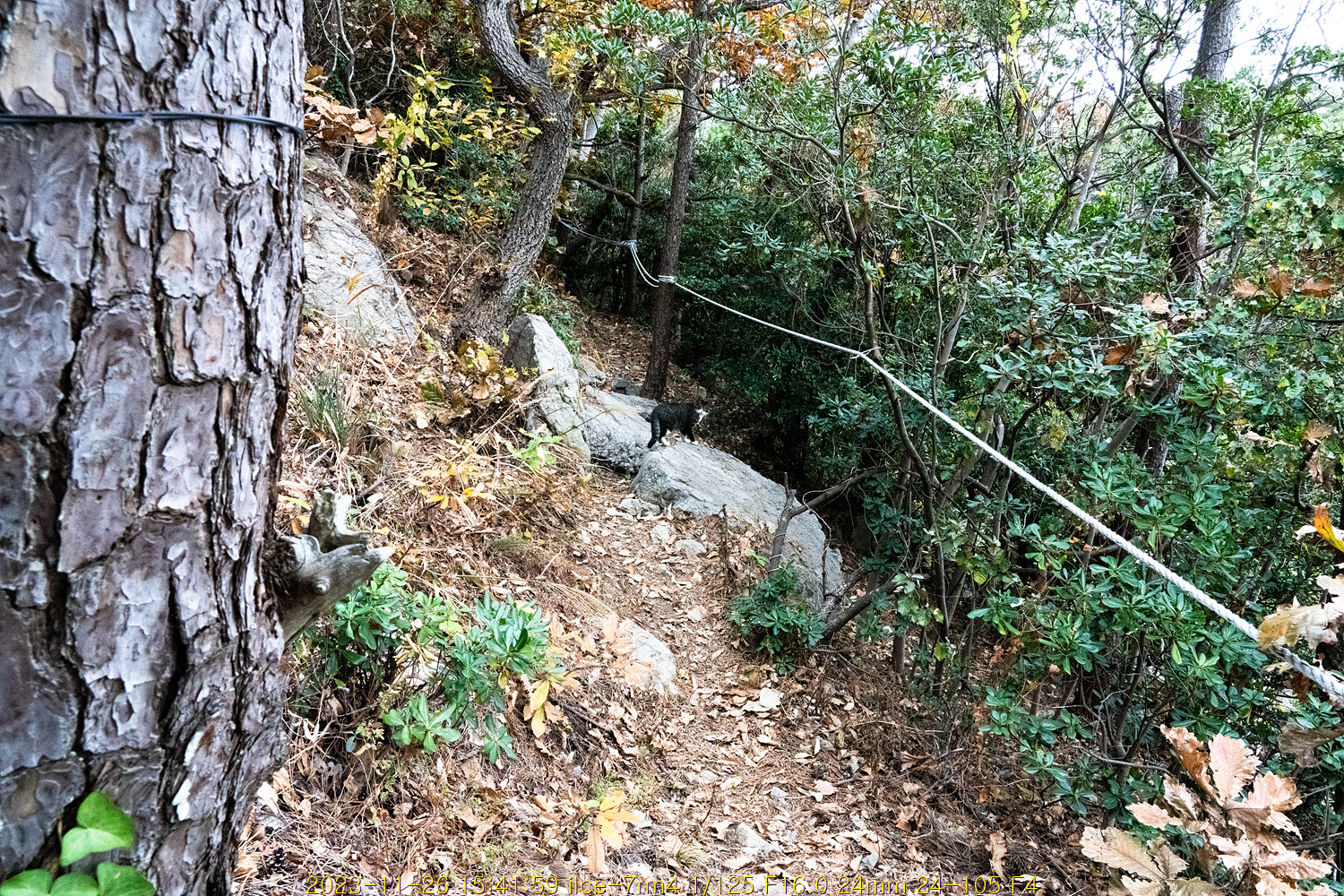 20231205_081022_656eccdecdff3.jpg