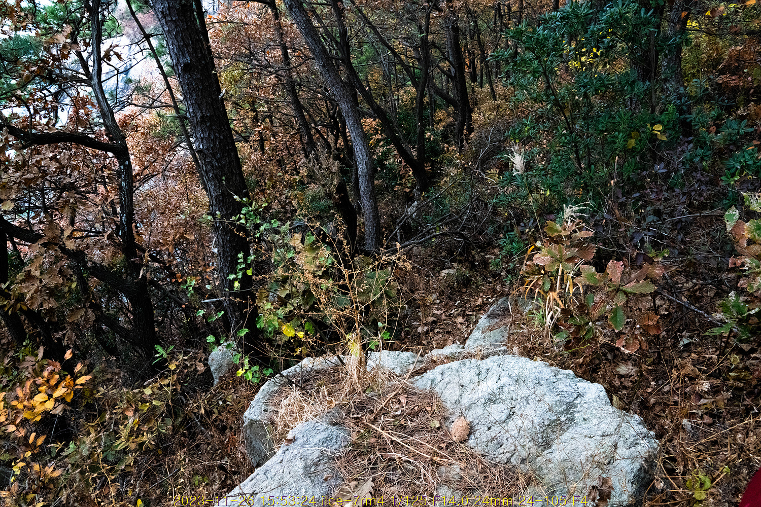 20231205_083134_656ed1d6c4ac2.jpg