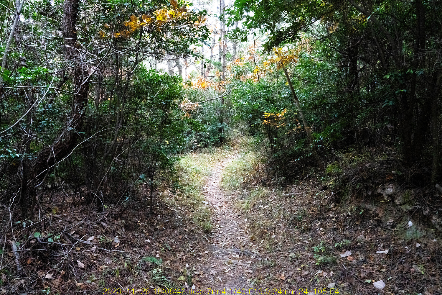 20231205_084458_656ed4faca1cb.jpg