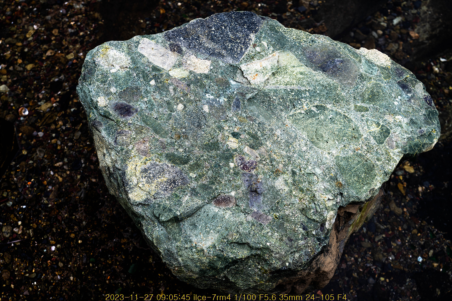 20231206_104118_657041bead15c.jpg