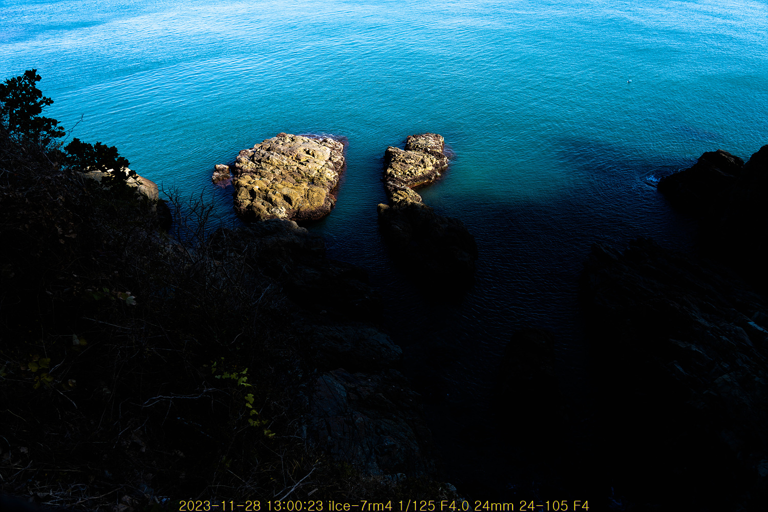 20231209_072234_657407aa5a183.jpg