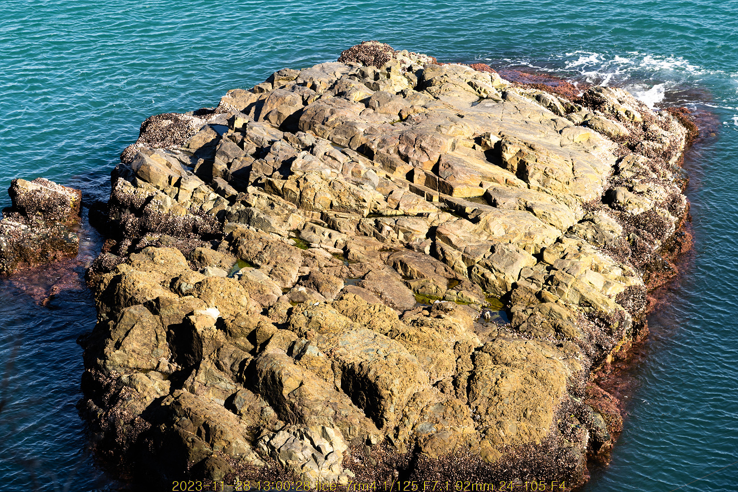 20231209_072247_657407b77c5b1.jpg