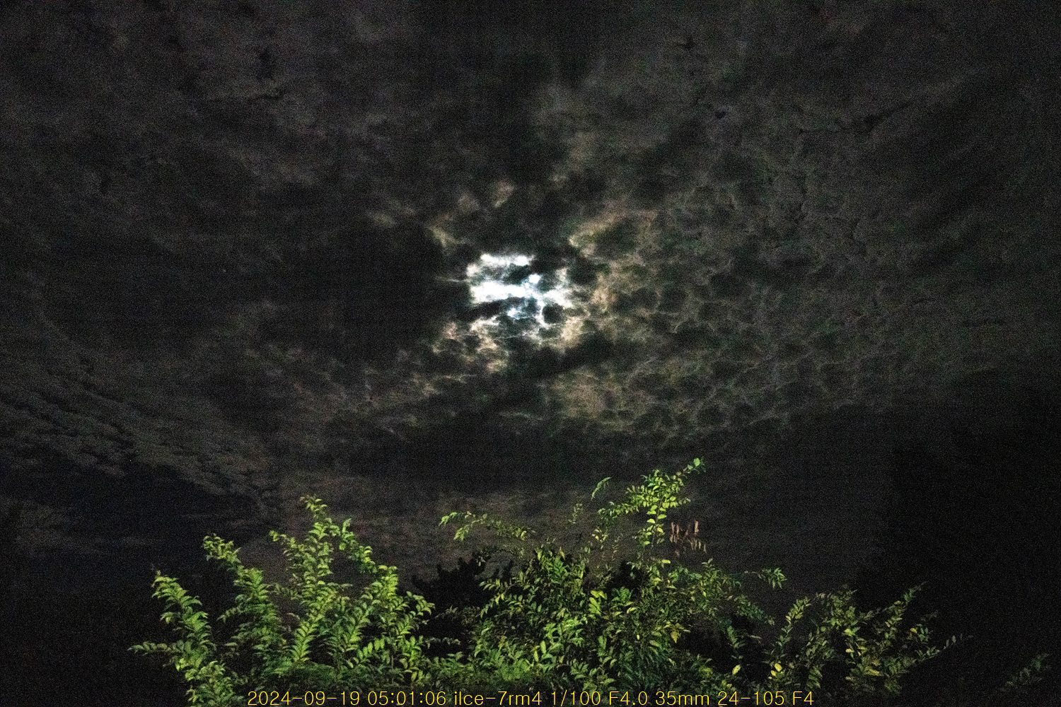 20241002_002946_66fc77da345db.jpg