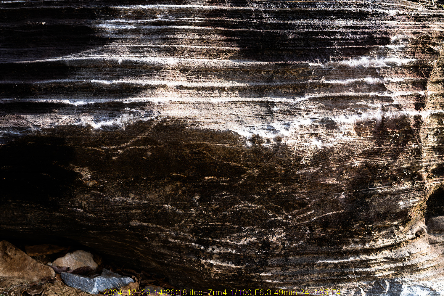20250105_084542_677a38a66ed71.jpg