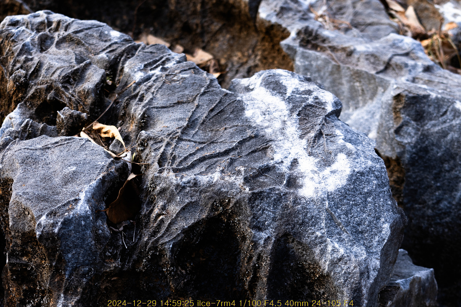 20250105_094254_677a460e5385b.jpg
