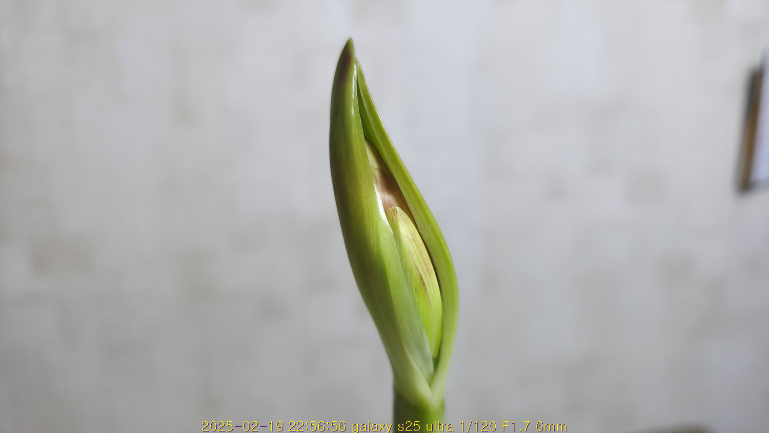 20250220_120534_67b70c7e2f792.jpg