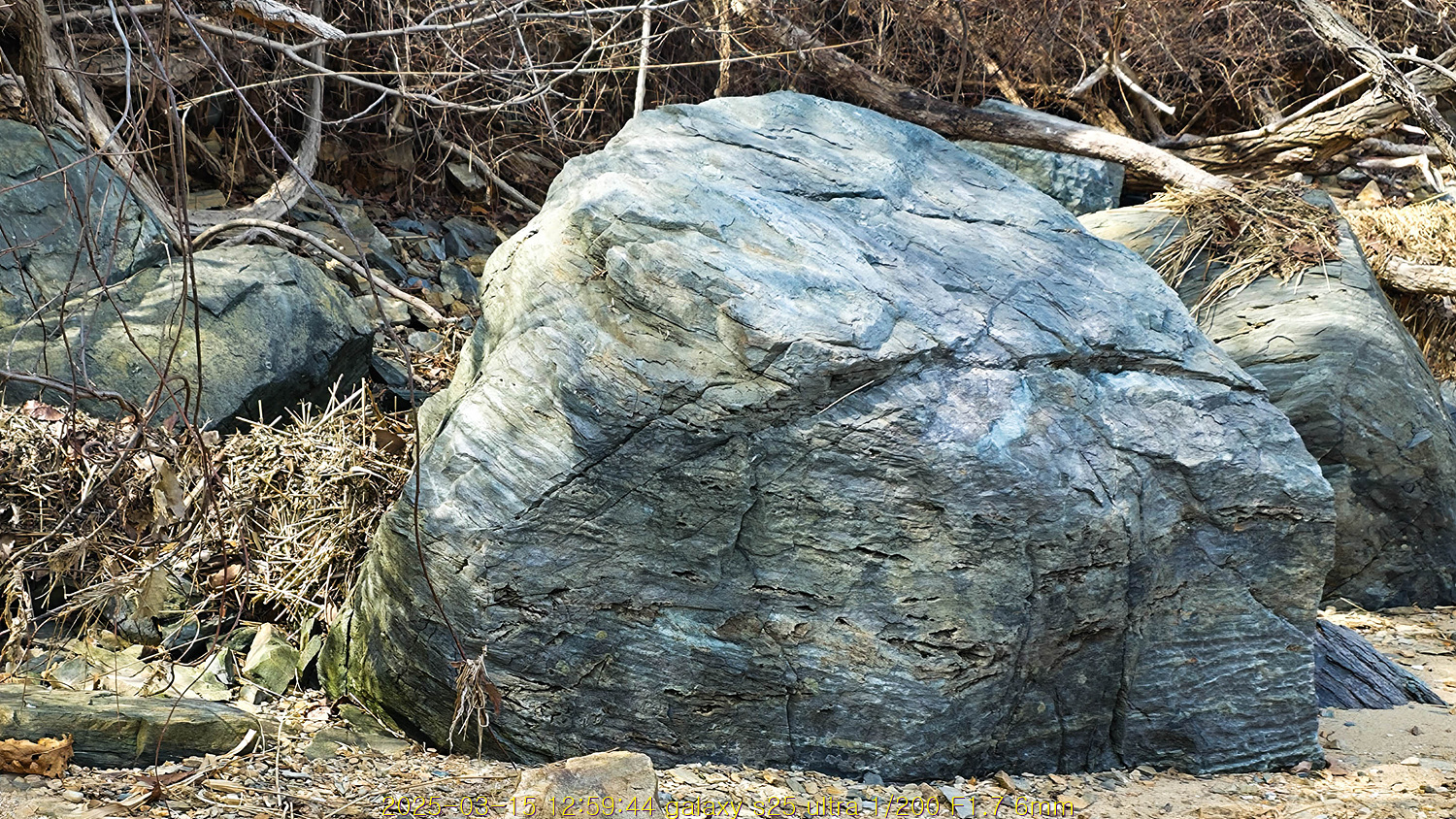 20250402_021230_67ec80eebf897.jpg