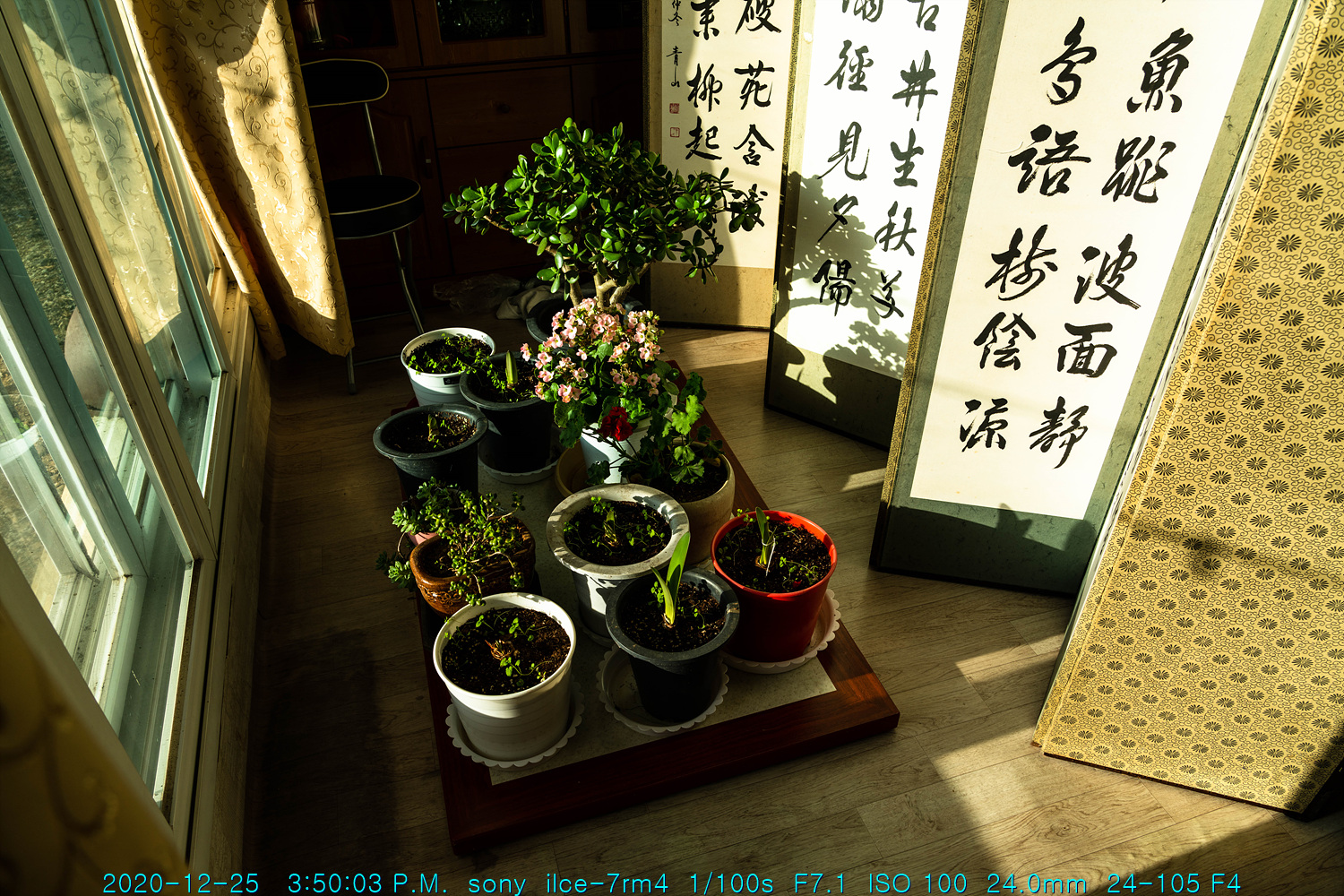 cho20201225-003
