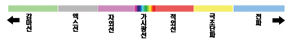 제16장 영혼의 장애