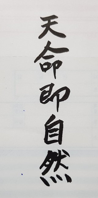[270] 제25장. 합리적 의문(疑問)/ 5.천연(天然)과 인위(人爲)의 사이