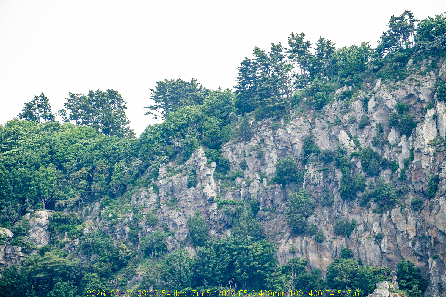 20260615_205546_b340c3fc00.jpg