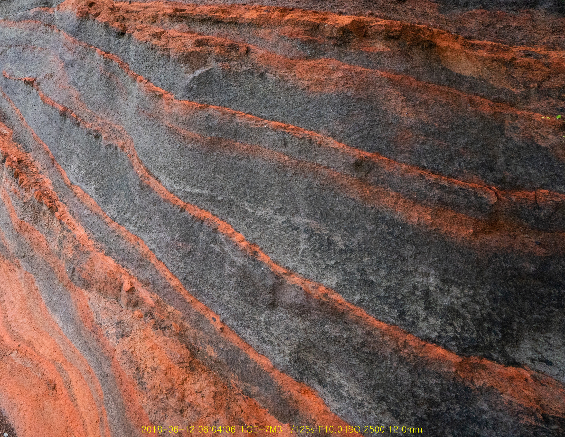 20260617_171813_85d6c08afb.jpg