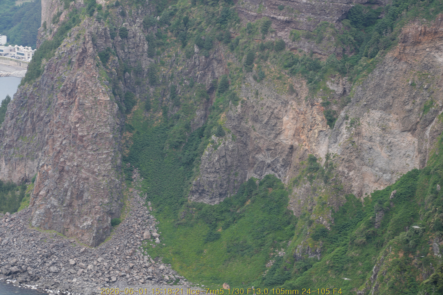 20260619_054444_6666afc4c4.jpg