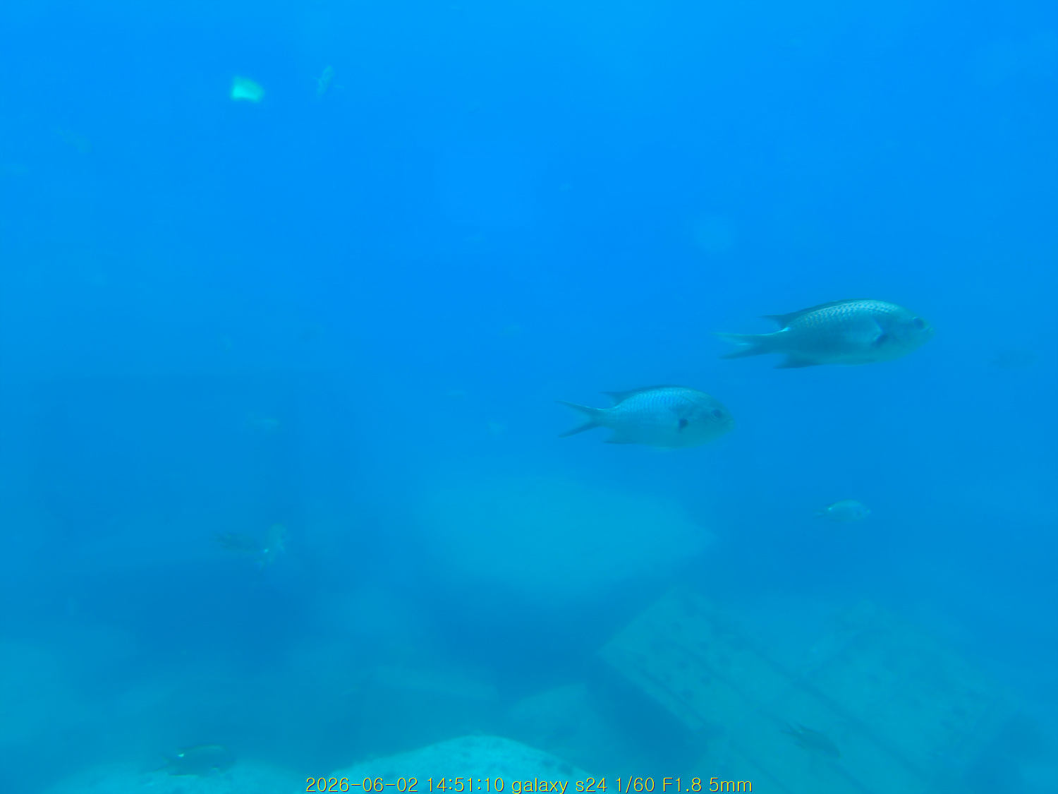 20260621_104606_f4aec0da82.jpg