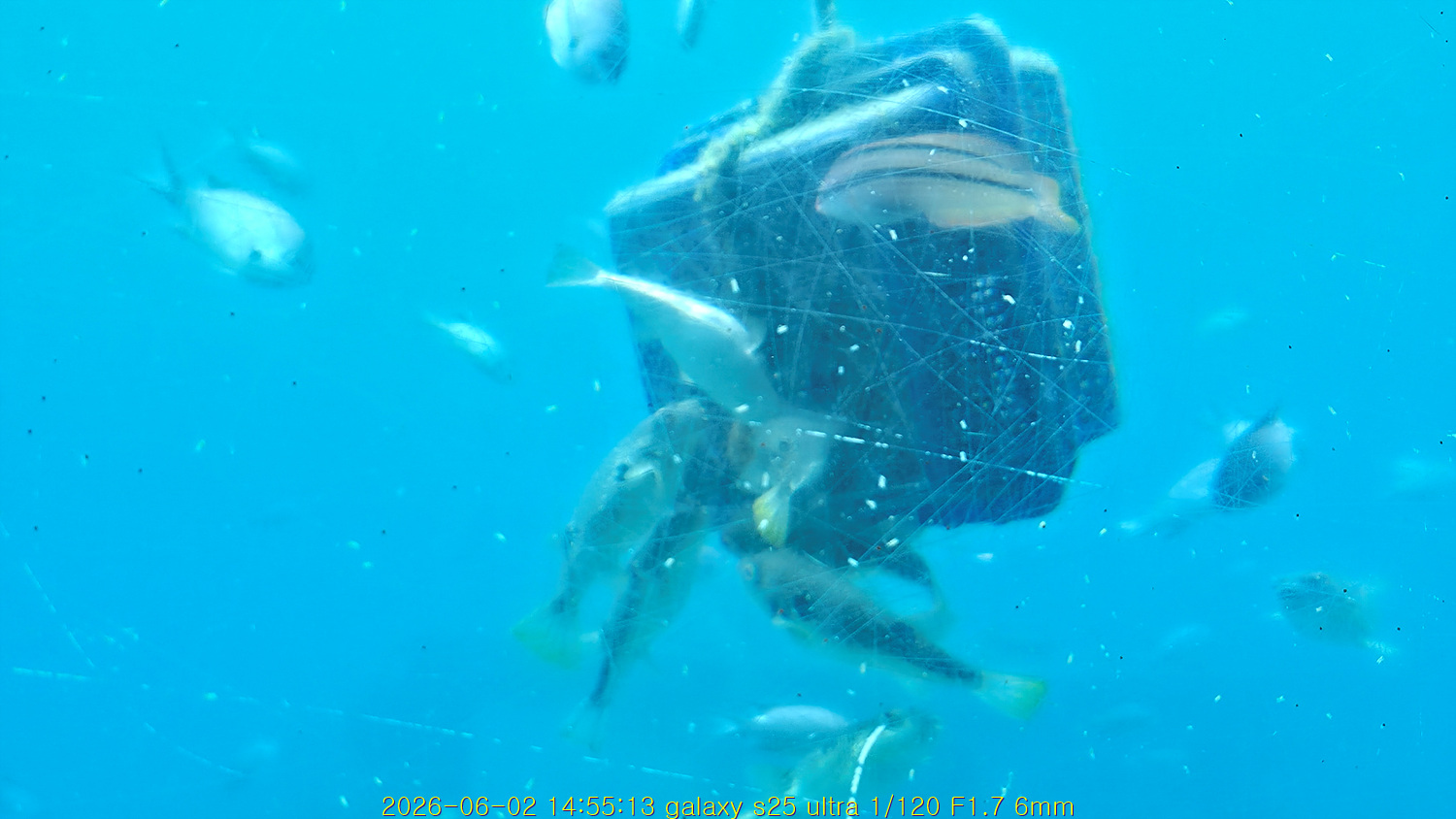 20260621_104719_35bd54833b.jpg