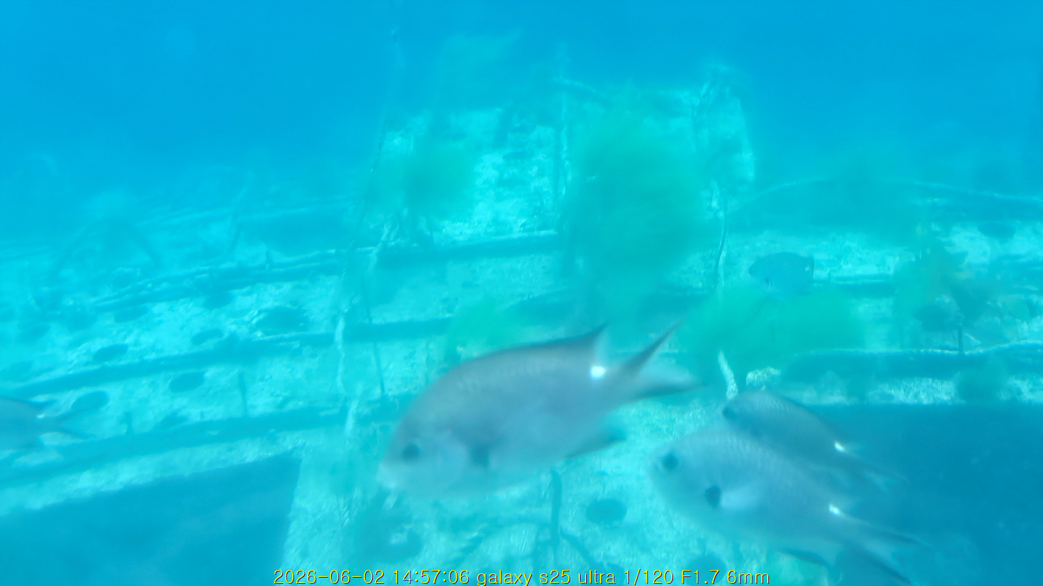 20260621_104753_ea658c42b0.jpg