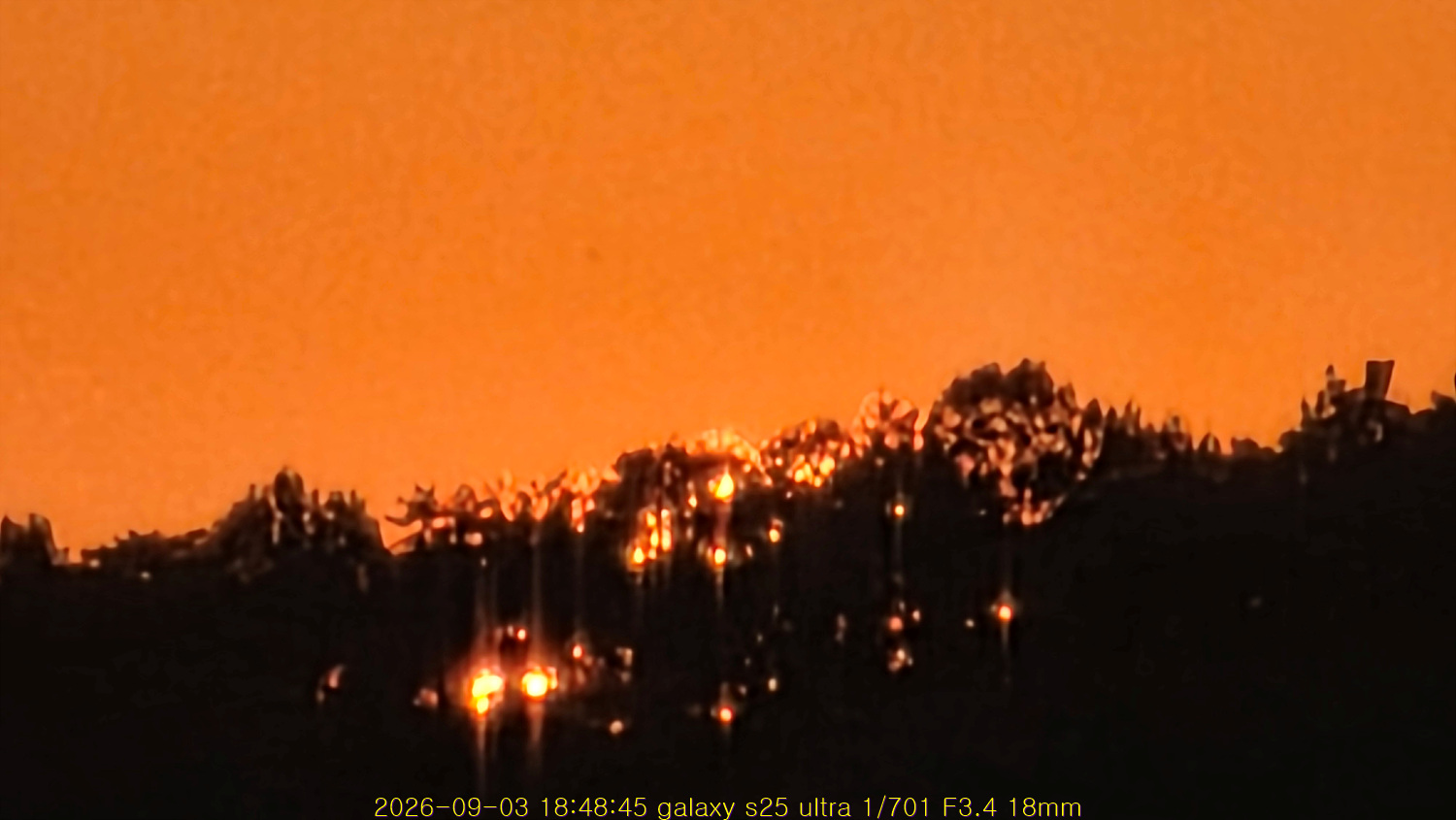 20260903_191645_d9c0ba2646.jpg