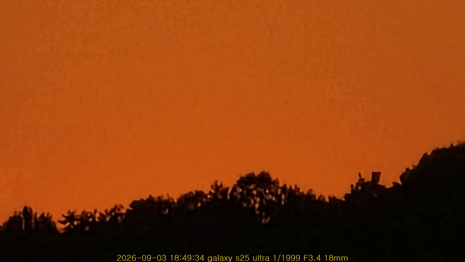 20260903_191734_e6ce01c6d6.jpg