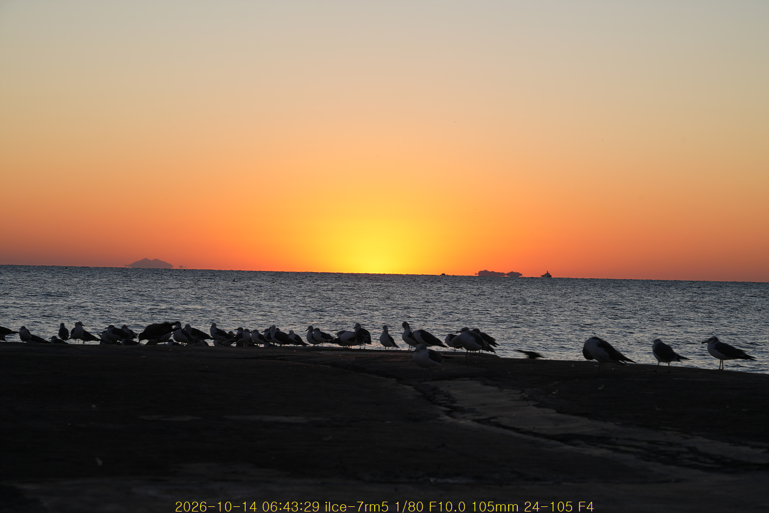 20261029_212016_392a71cfbb.jpg