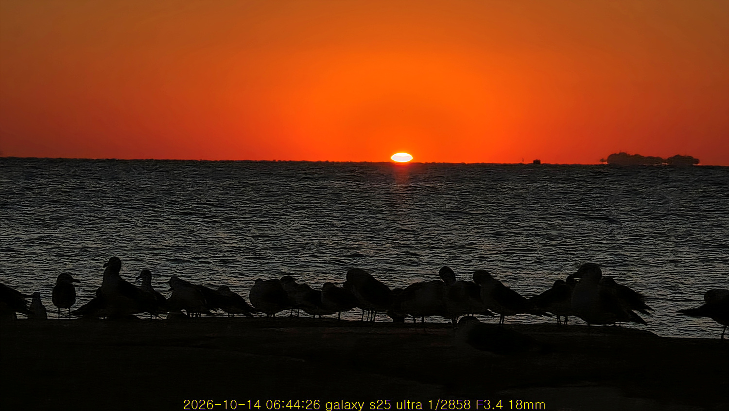 20261029_212219_e18ef71b67.jpg