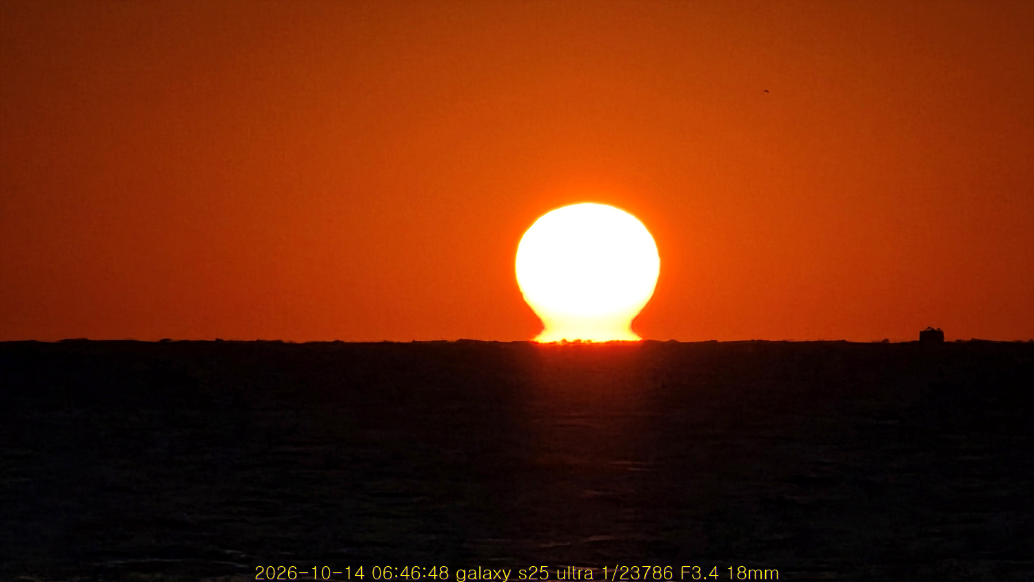 20261029_212508_7b68f4a8f7.jpg