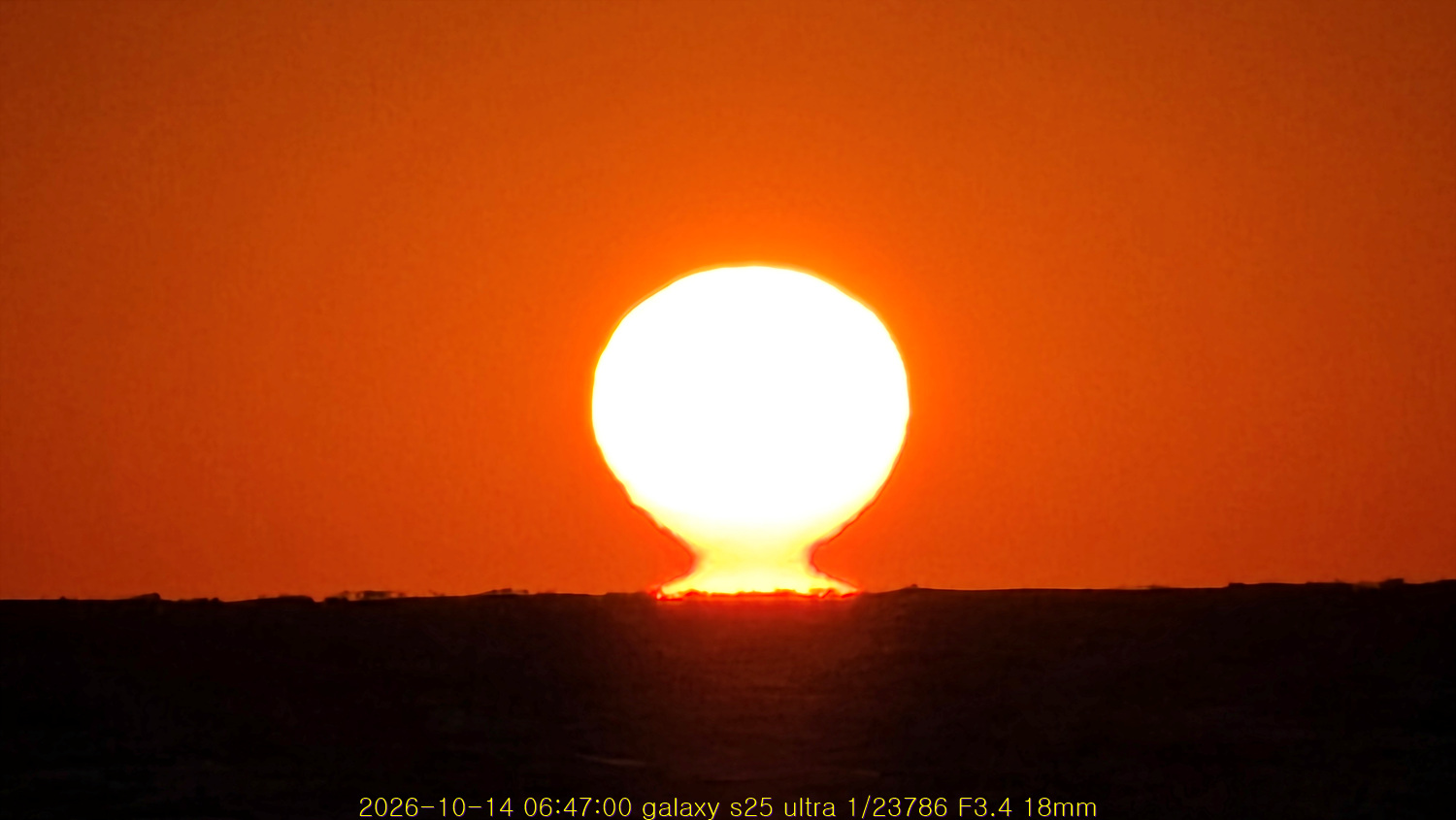 20261029_212557_a5d0b153ff.jpg