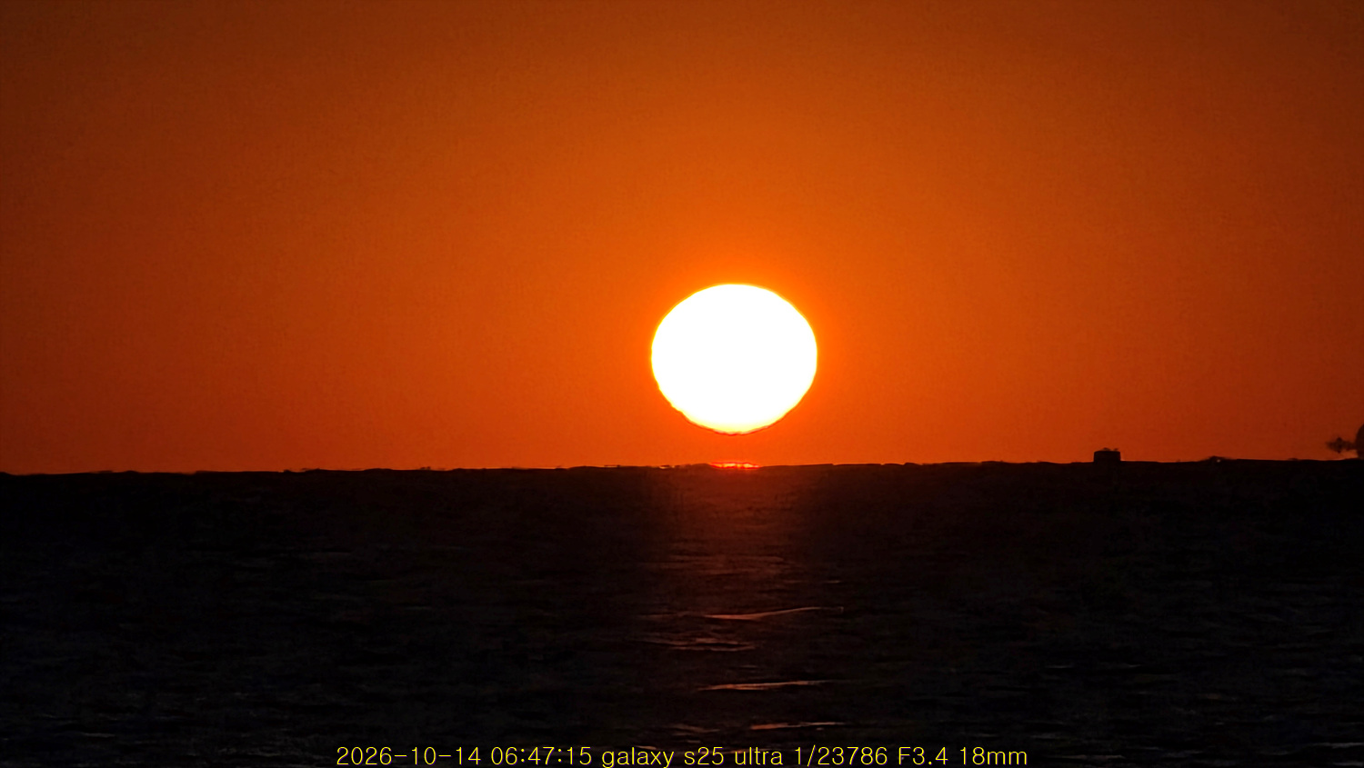 20261029_212712_38b8ae33f4.jpg