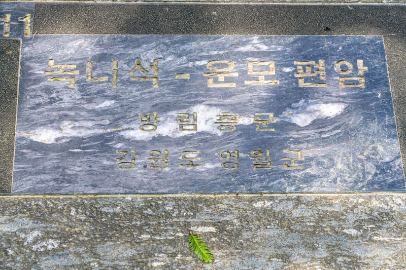 [11] 녹니석-운모 편암 (영월군)