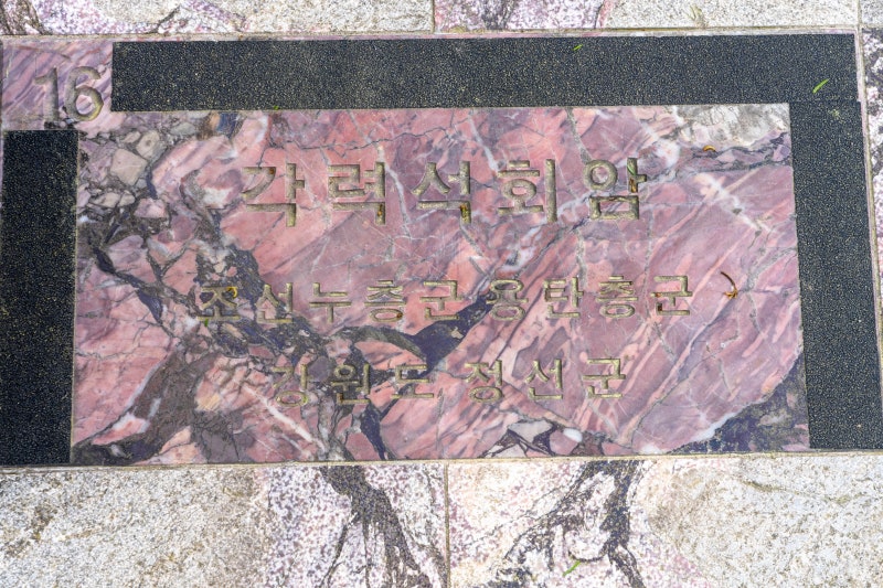 [16] 각력 석회암 (정선군)