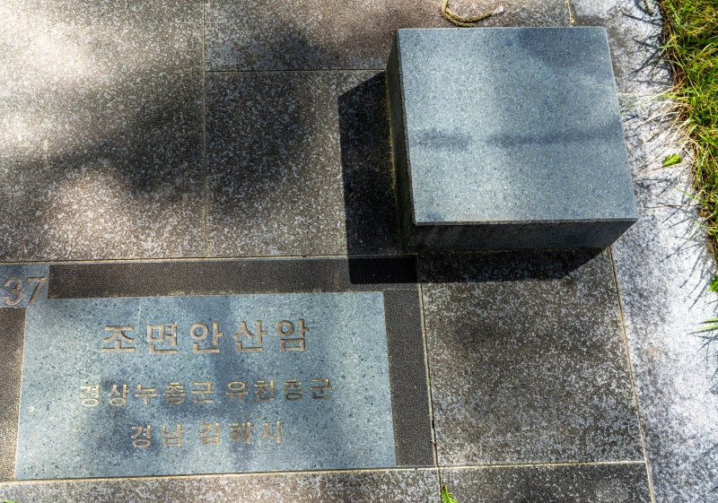 [37] 조면안산암 (김해시)