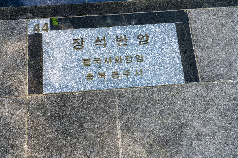 [44] 장석반암 (충주시)