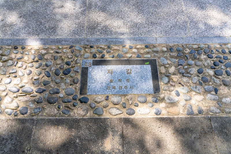 [48] 자갈 (경주시)