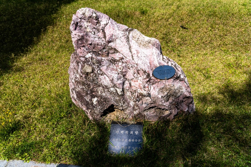 [D] 각력석회암 (정선군)